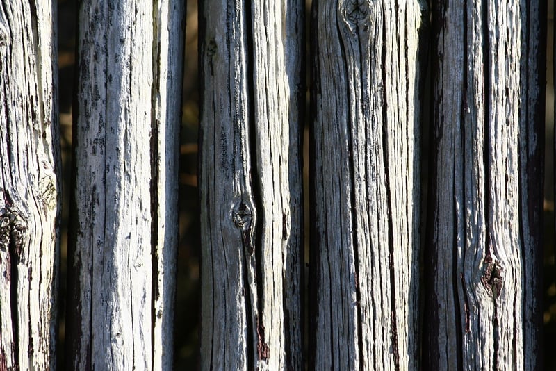Mindfulness Image